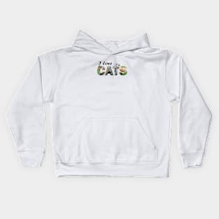 I love cats - kittens oil painting word art Kids Hoodie